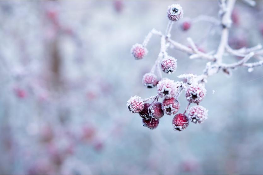 Preparing your home for the winter months